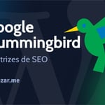 Google Hummingbird: O que é, como funciona e diretrizes